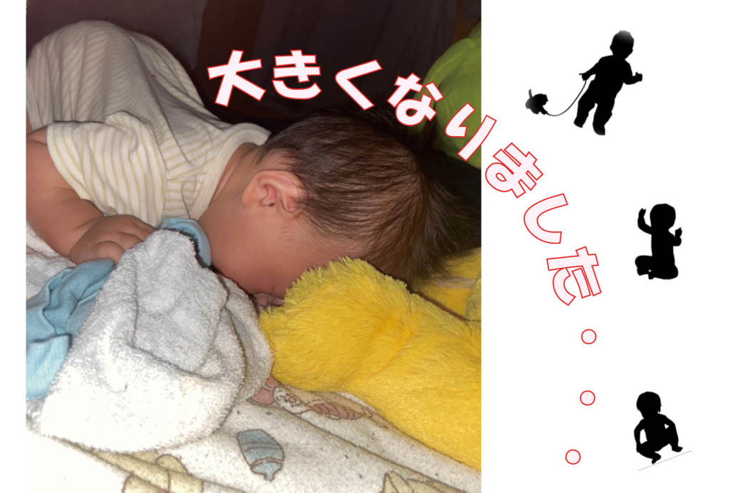 大きくなりました